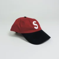 DSCN2767