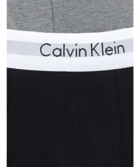 D_NQ_NP_2X_964872-MLB96419701215_102025-F-kit-3-cuecas-em-algodo-tradicional-calvin-klein-original